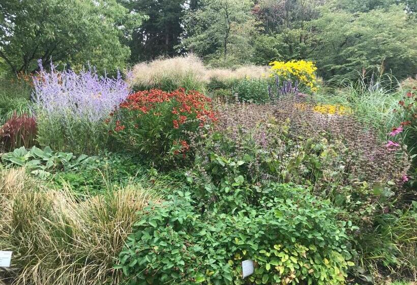 Ewa & Maude Hotel Aston Villa