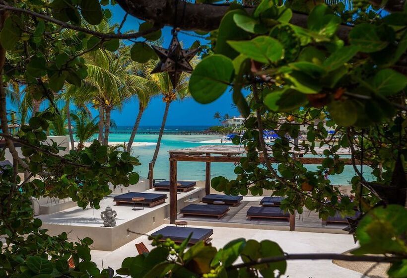 Lotus Beach Hotel   Adults Only