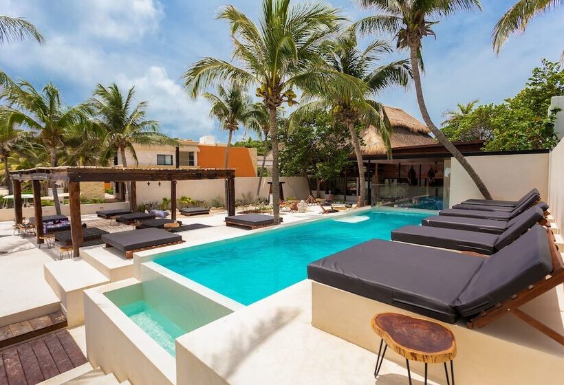 Lotus Beach Hotel   Adults Only