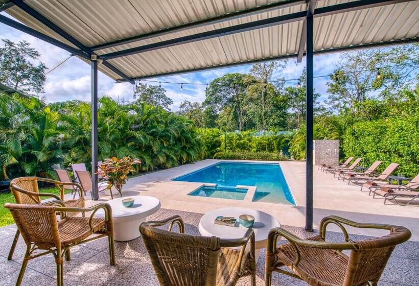 הוסטל La Tica Y La Gata