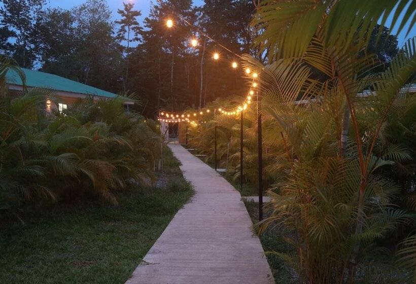 הוסטל La Tica Y La Gata