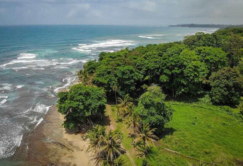 הוסטל La Tica Y La Gata