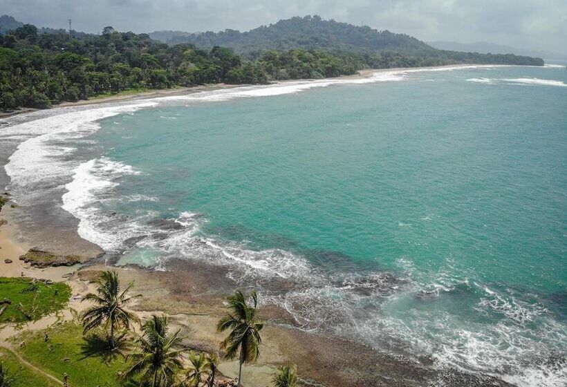 הוסטל La Tica Y La Gata