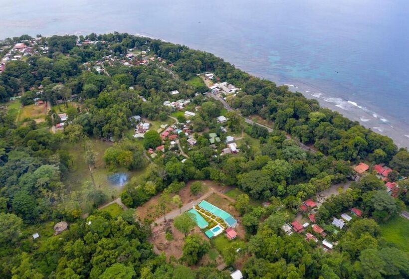 הוסטל La Tica Y La Gata