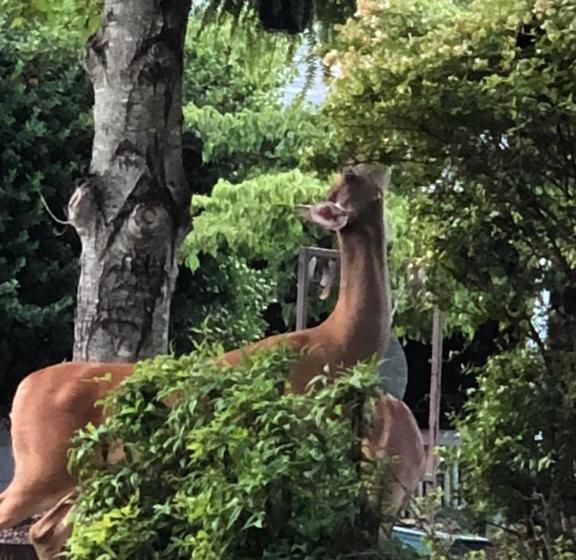 مبيت وإفطار Harvest House 1882