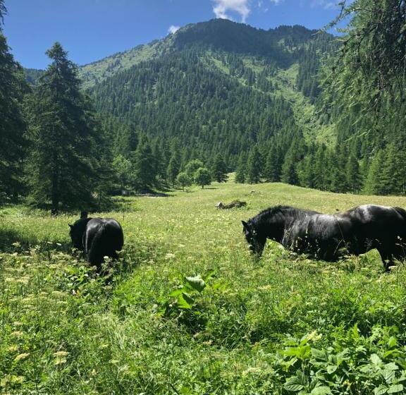 فندق Agriturismo Ciambun