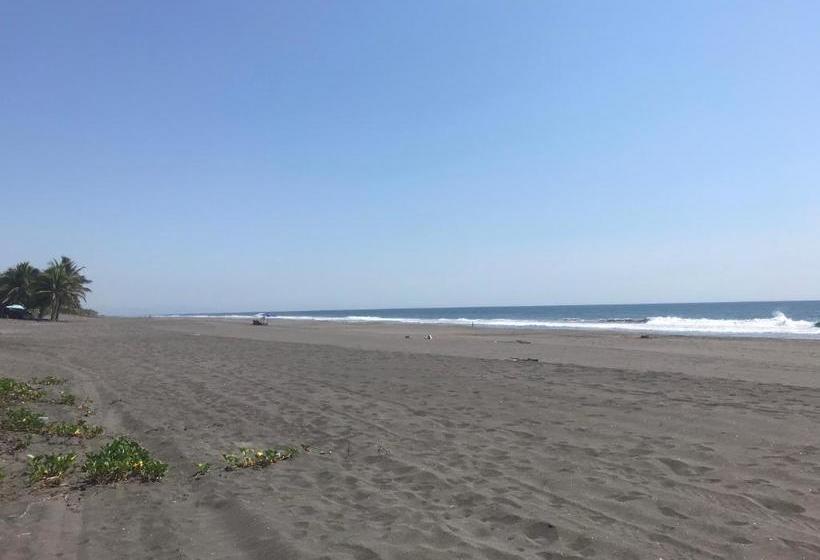 فندق Cuyutlan Holistico