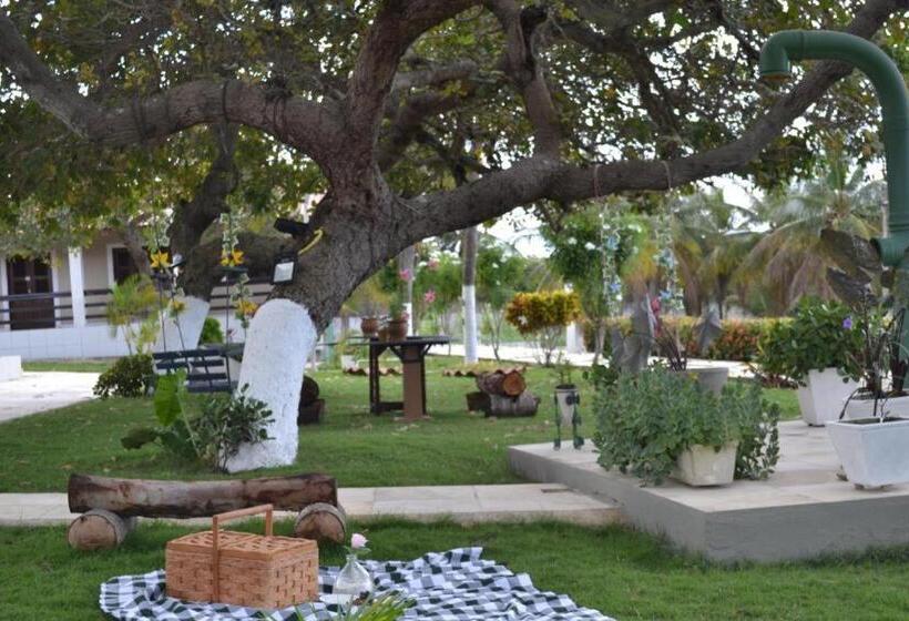 Отель Jardim Getsemani