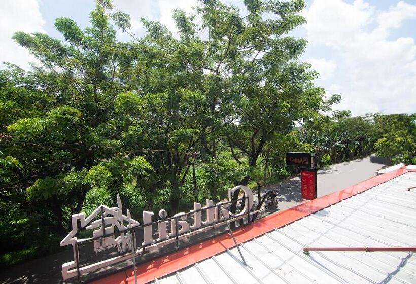 Пансион Cattail Guest House Pontianak