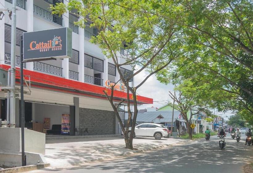 Пансион Cattail Guest House Pontianak