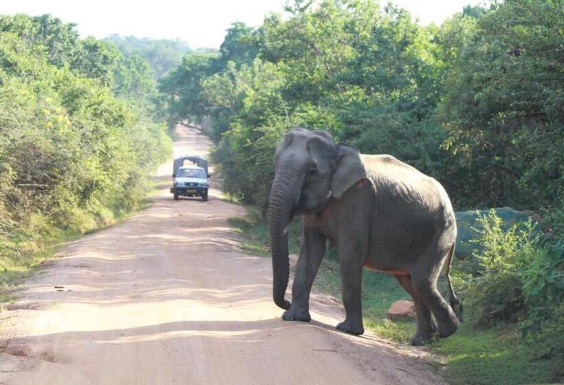 ペンション Mailagama Cinnamon Residence