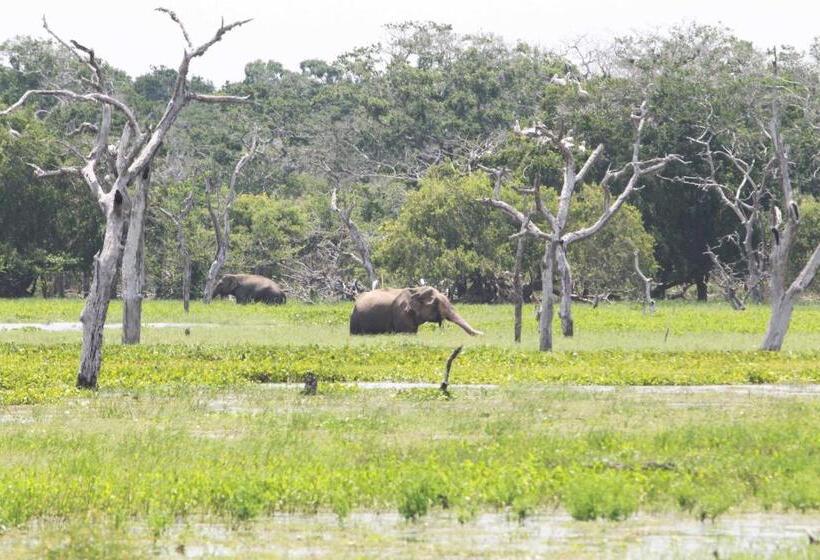 ペンション Mailagama Cinnamon Residence