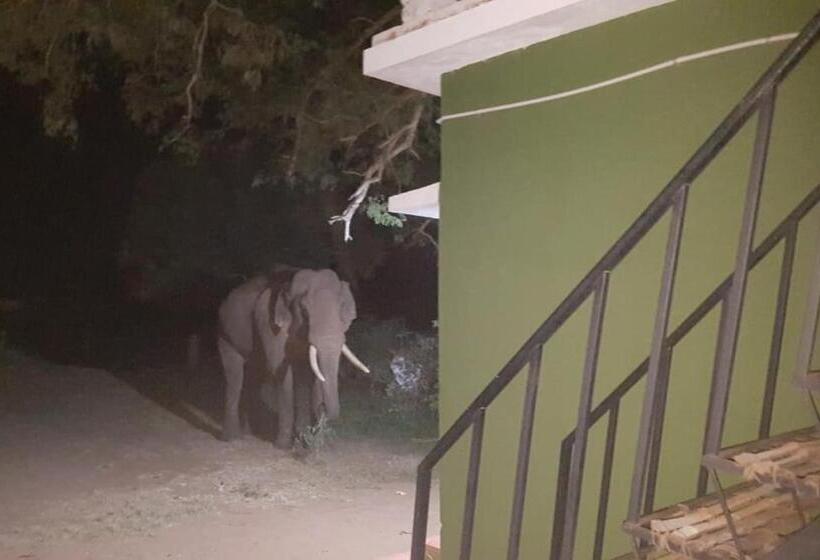 Aarraams Farms & Resorts