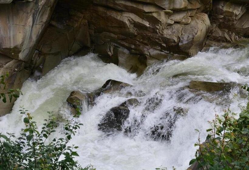 Baron Spa Hotel   Museum Yaremche