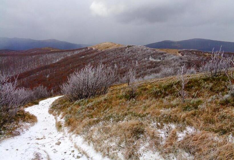 Baron Spa Hotel   Museum Yaremche