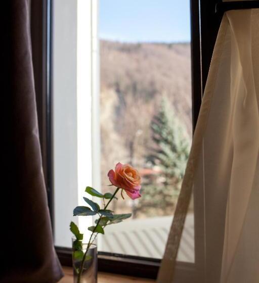 Baron Spa Hotel   Museum Yaremche