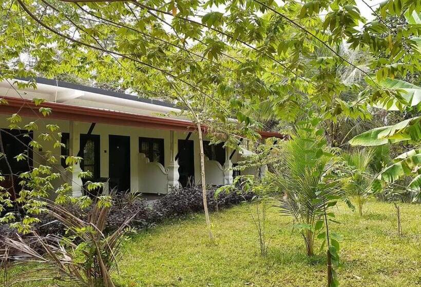 住宿加早餐  Amron Resort Sigiriya