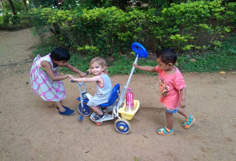 住宿加早餐  Amron Resort Sigiriya