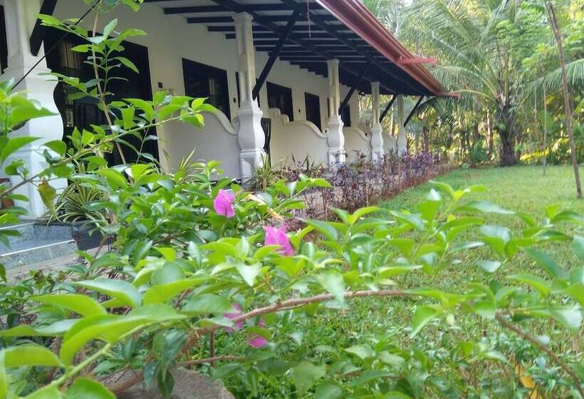 住宿加早餐  Amron Resort Sigiriya