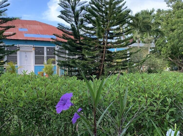 צימר Campito Loving