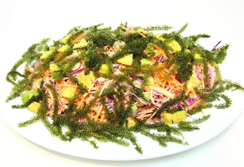 هتل Au Lac Ha Long