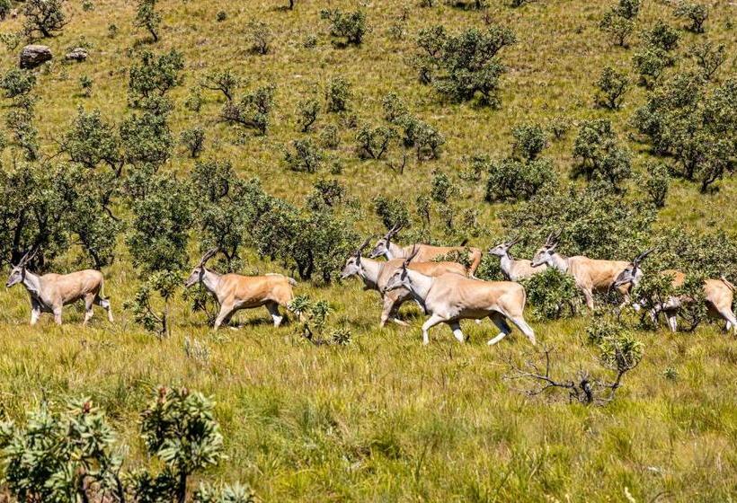 בית מלון כפרי Cavern Resort & Spa