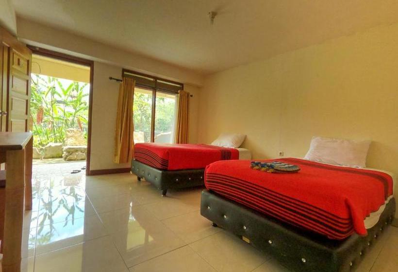 ホテル Pias Poppies