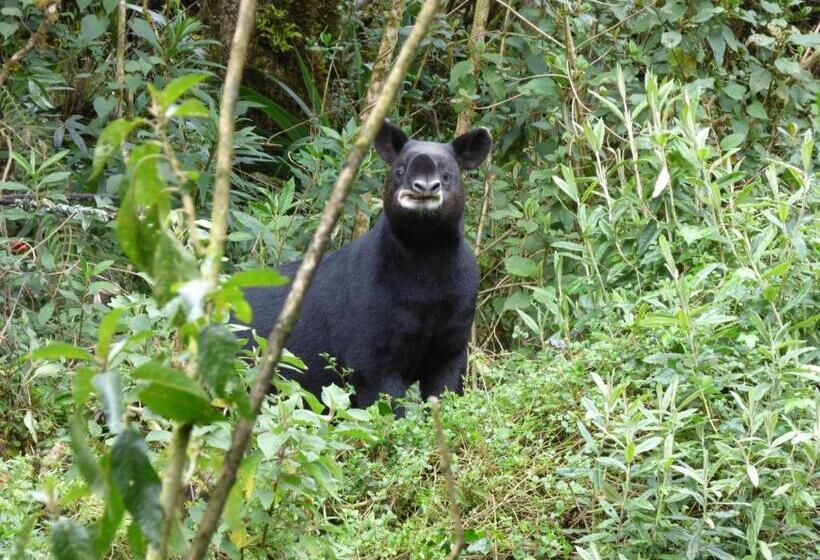 هتل Sol De Piedra