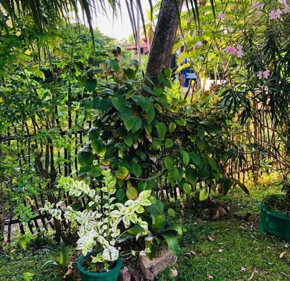 بنسيون Thusitha S Nest