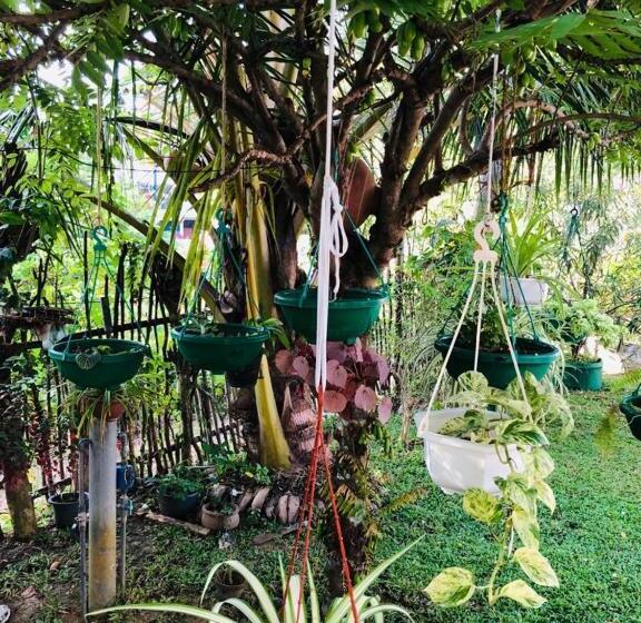 بنسيون Thusitha S Nest