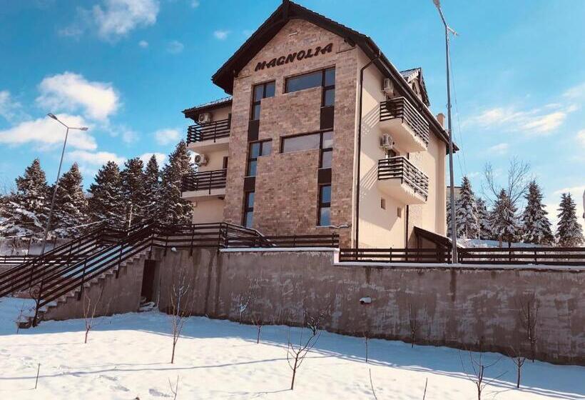 Pensiunea Magnolia