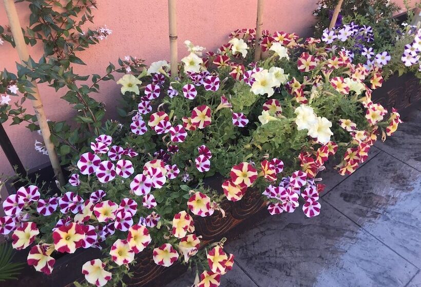 B&b Puente De órbigo