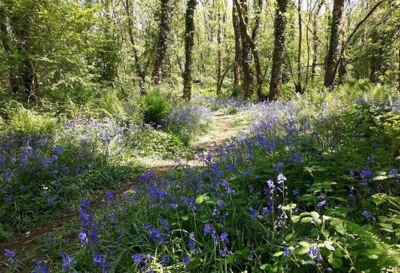 צימר Clonalis House   Guesthouse
