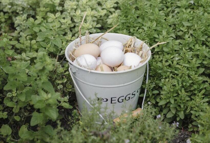 צימר Clonalis House   Guesthouse