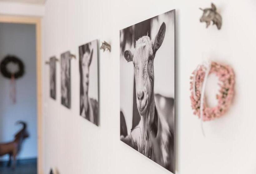 住宿加早餐  Neuhof Gäste & Schokohaus