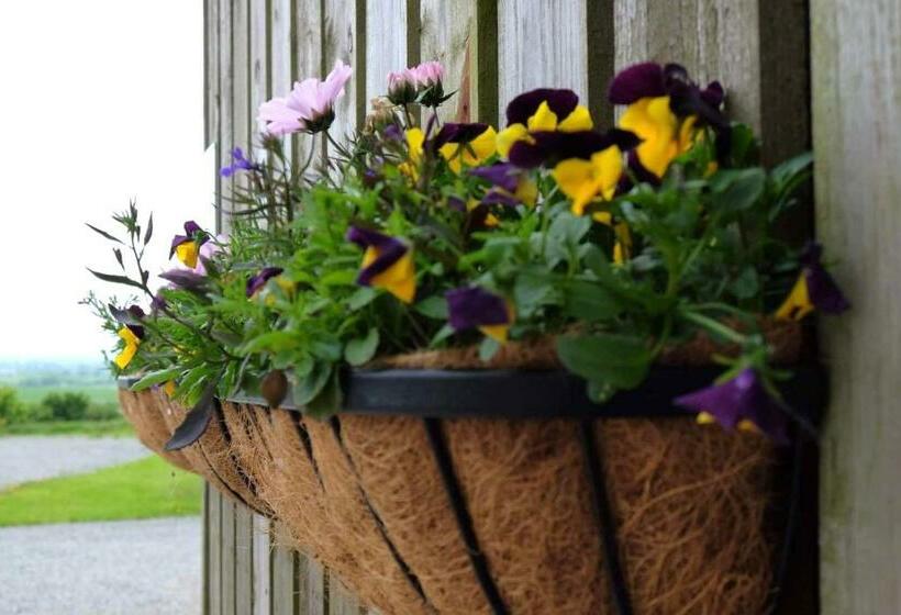 בית מלון כפרי Blas Mwy Black Lion B And B