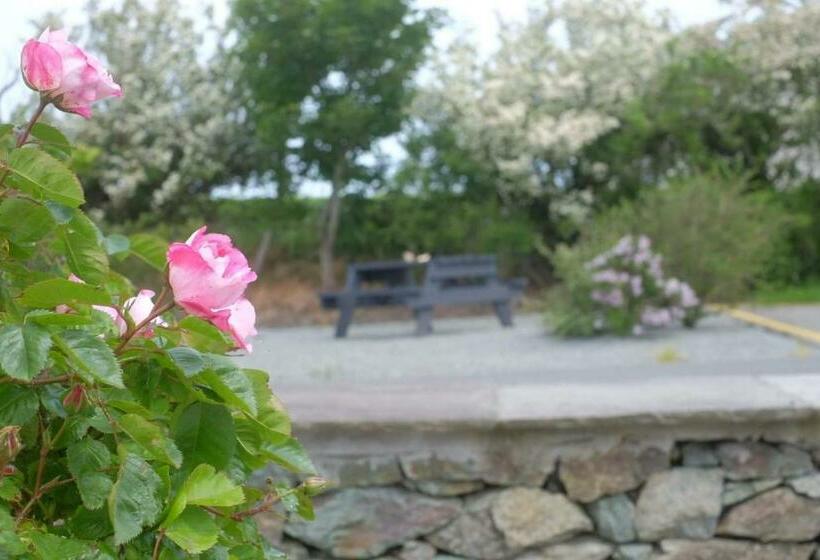 בית מלון כפרי Blas Mwy Black Lion B And B