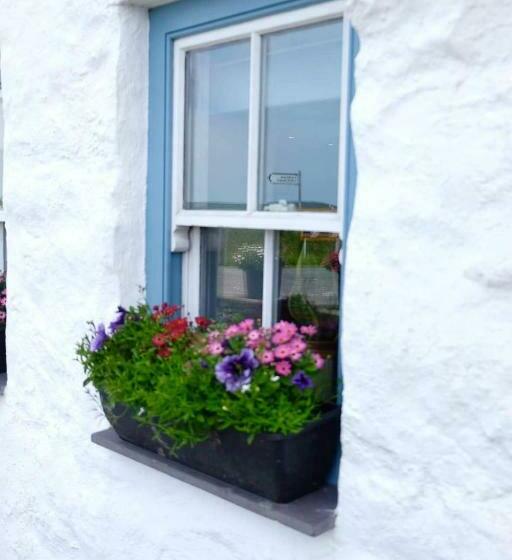 בית מלון כפרי Blas Mwy Black Lion B And B