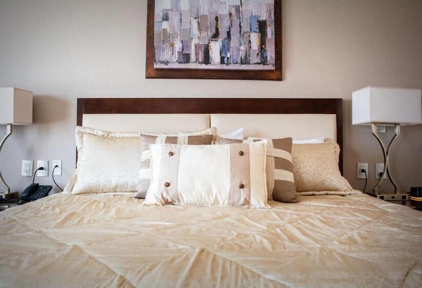 호텔 Wyndham Torreon