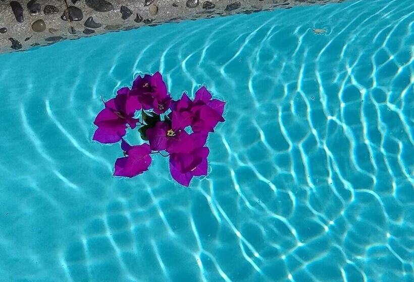 Short Stay Tecate Hotel Boutique