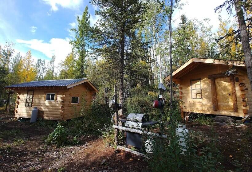 旅馆 Blackburn Cabins   Mccarthy, Alaska