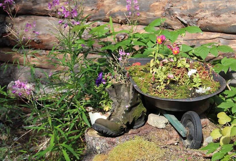 旅馆 Blackburn Cabins   Mccarthy, Alaska