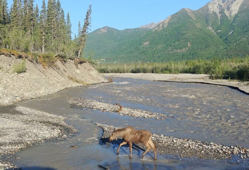 旅馆 Blackburn Cabins   Mccarthy, Alaska