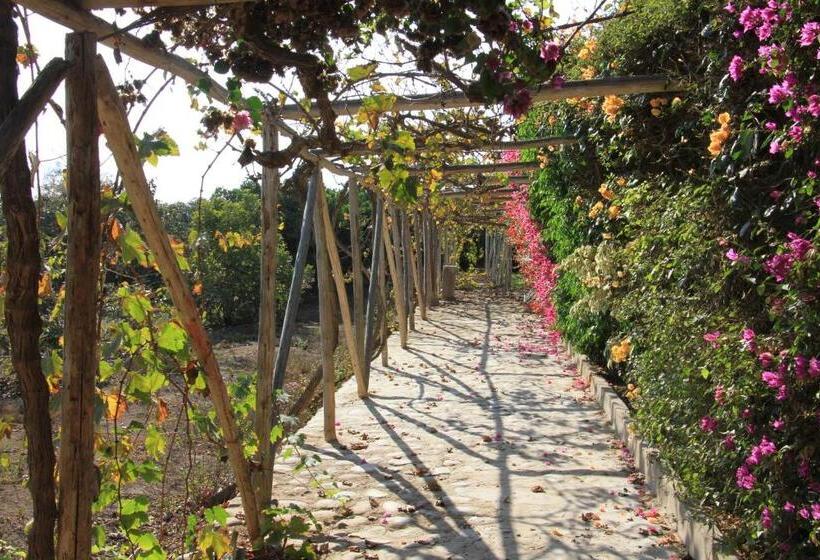 تختخواب و صبحانه Huaranjapo