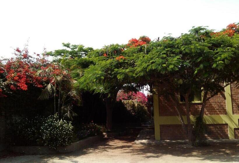 تختخواب و صبحانه Huaranjapo