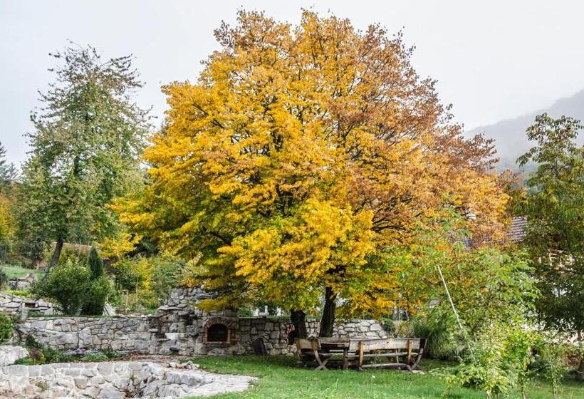 تختخواب و صبحانه Miškar Rooms