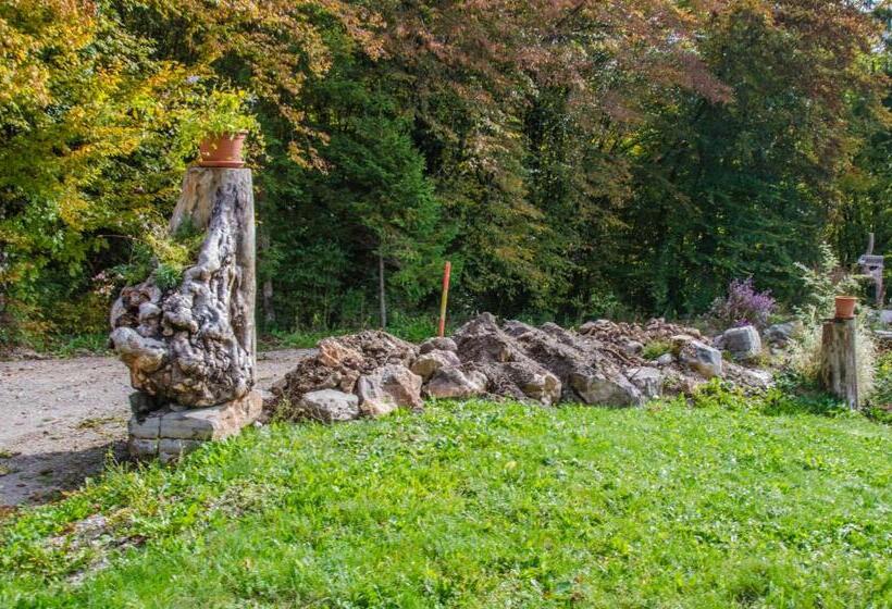 تختخواب و صبحانه Miškar Rooms