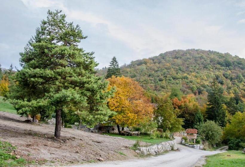 تختخواب و صبحانه Miškar Rooms