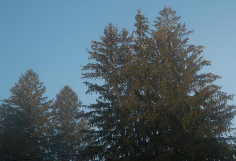 민박 Mountain View Green Retreat