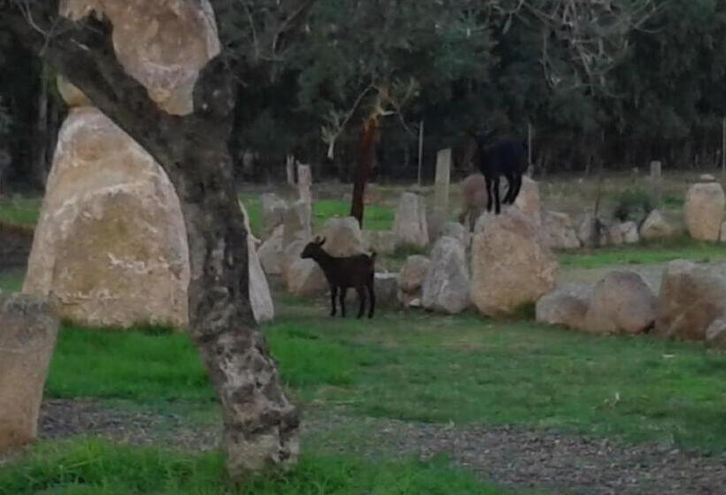 בית מלון כפרי I Menhirs